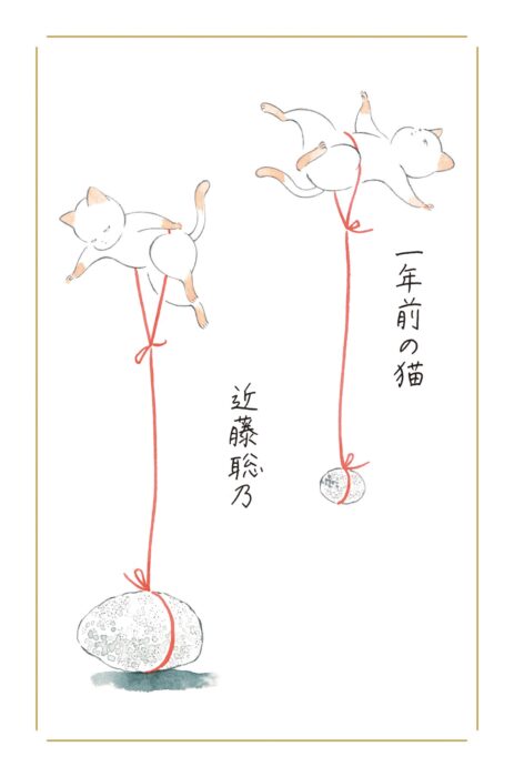 近藤聡乃『一年前の猫』刊行記念展